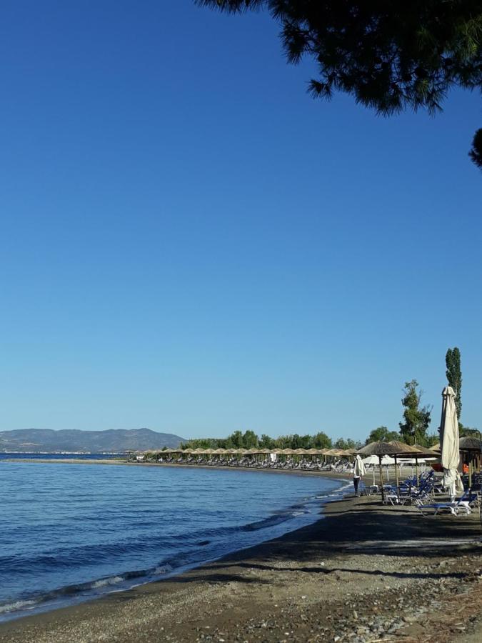 Gorjelina 'S House Villa Volos Luaran gambar