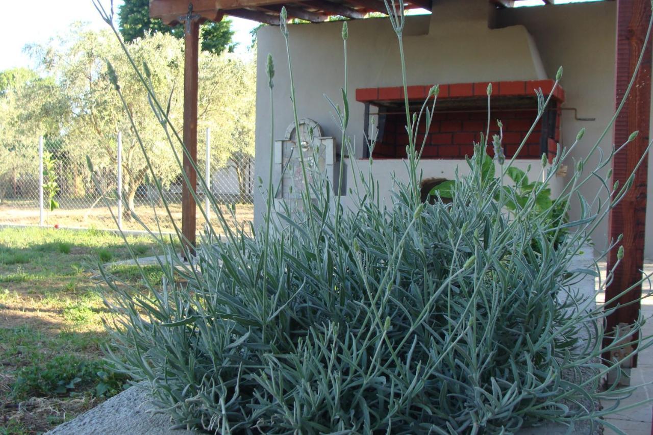 Gorjelina 'S House Villa Volos Luaran gambar